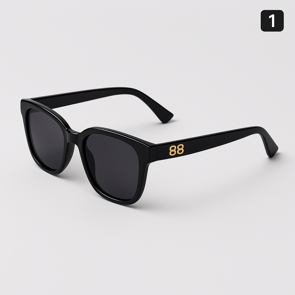 Luxury Sungalsses - X00084 - Image 1