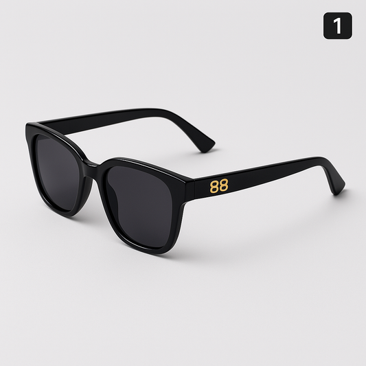Luxury Sungalsses - X00084 - Image 1